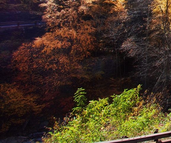 意外生财赚钱案例