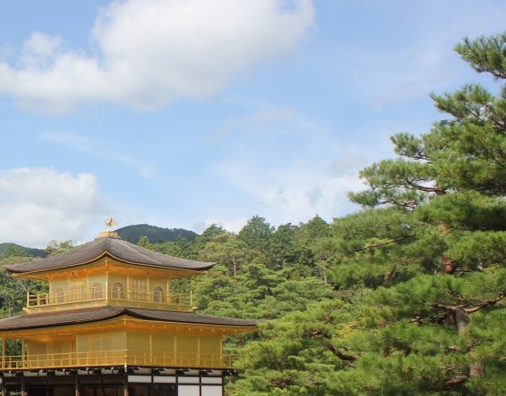 上门推销赚钱案例