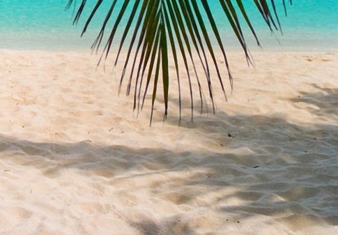 老板从公司拿钱怎么合理筹划税务