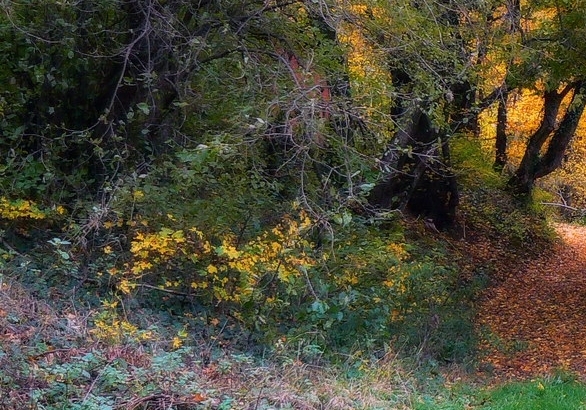 兼利通赚钱案例