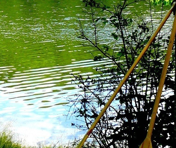 食品加盟哪些好项目赚钱