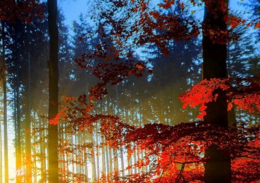 大米赚钱案例分享会