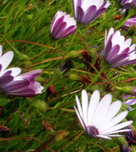 好公司不赚钱案例