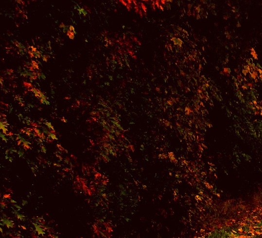 创魔赚钱的方法