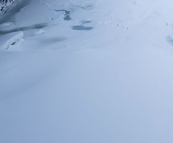 酒吧营销靠什么赚钱