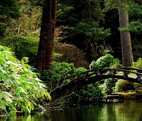 cpa自动赚钱项目