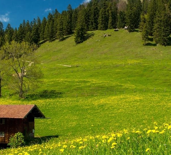 互联网有什么赚钱的好项目