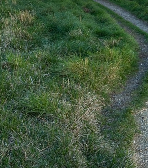 德国学生赚钱方法视频