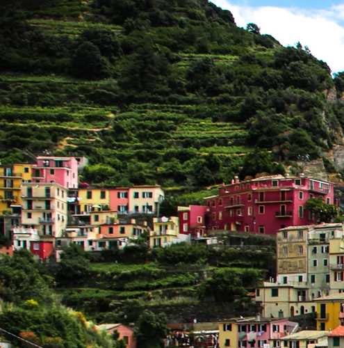 法医伪证赚钱案例