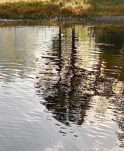 减肥上班赚钱方法视频教学