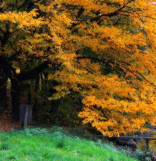 韩国模特赚钱方法视频在线观看