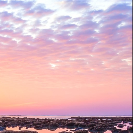 赚钱新项目游戏大全最新