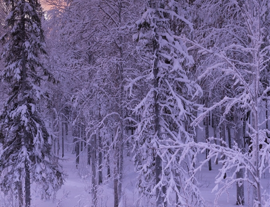 夫妻开店经常吵架怎么办