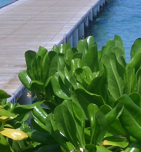 无聊兼职赚钱案例