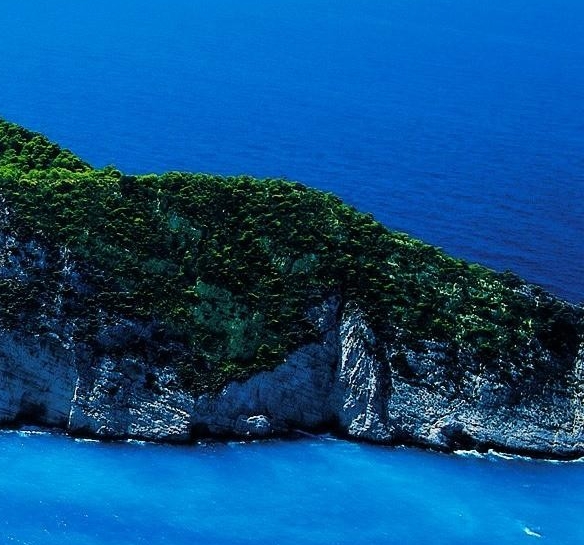 违法的挣钱项目