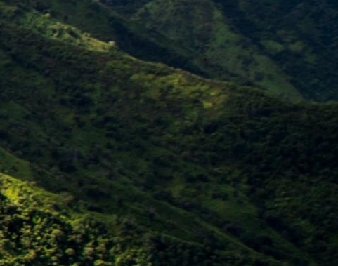 鼠钱合成赚钱方法视频