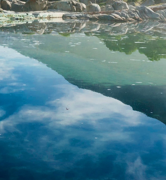 梦幻西游109单开赚钱