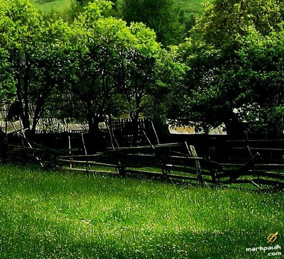 夜宵店项目怎么操盘赚钱