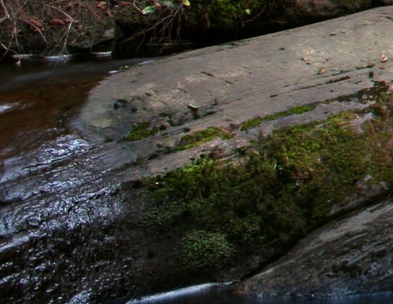 股票配债必须当天买入吗