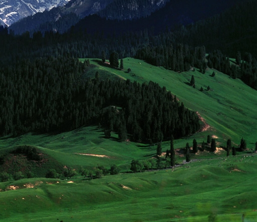 赚钱几个模式最快的方法