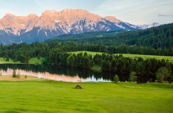 香港最赚钱的项目