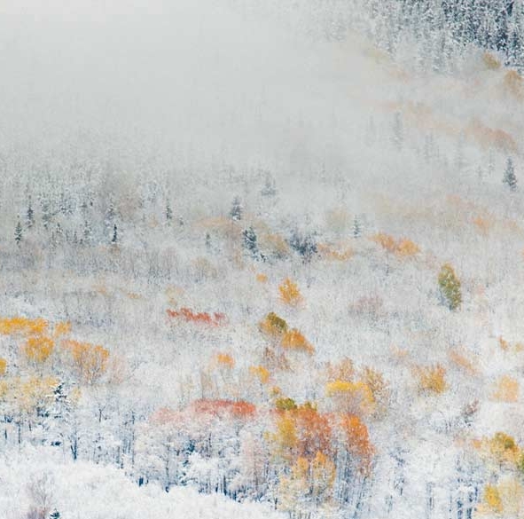 赚钱币的方法和技巧