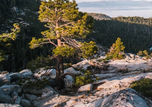 手工做卡子赚钱是真的吗