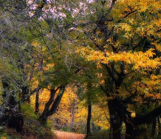 经商之道赚钱案例