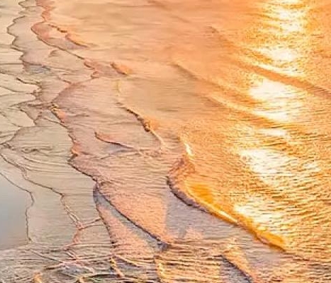 yy直播软件真的能赚钱吗