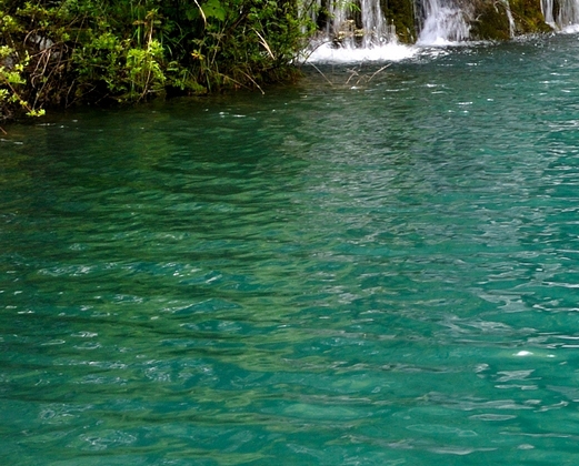 赚钱心得体会作文100字