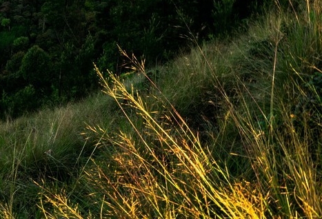 旅游心得体会 感想