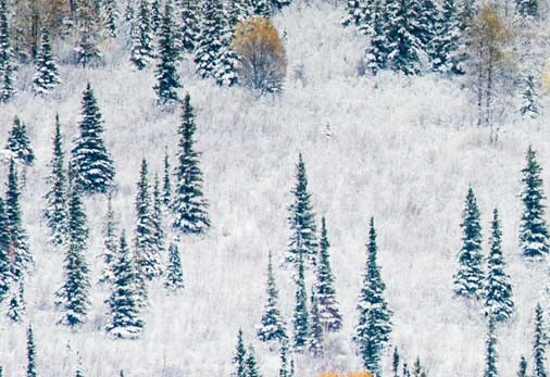 非法赚钱曝光案例