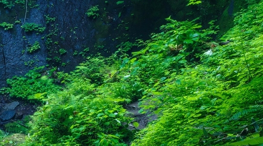 送105个副业赚钱项目