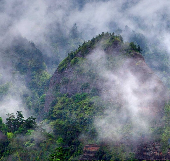 游泳项目赚钱不多嘛现在
