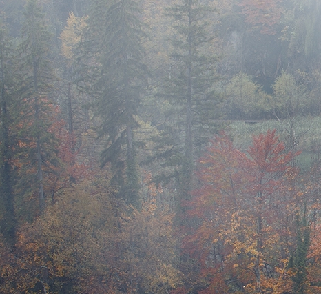 聊天赚钱心得分享怎么写