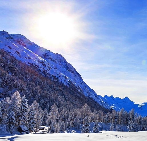 开教育机构赚钱吗