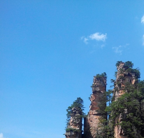 兔子最赚钱的方法