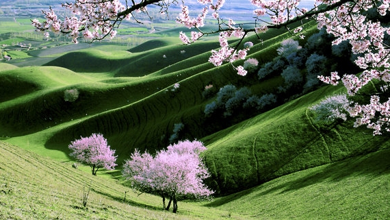 梦幻西游赚钱方法大全