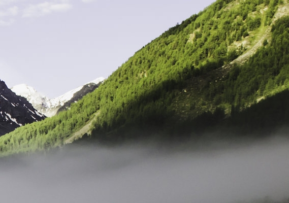 教育机构赚钱案例