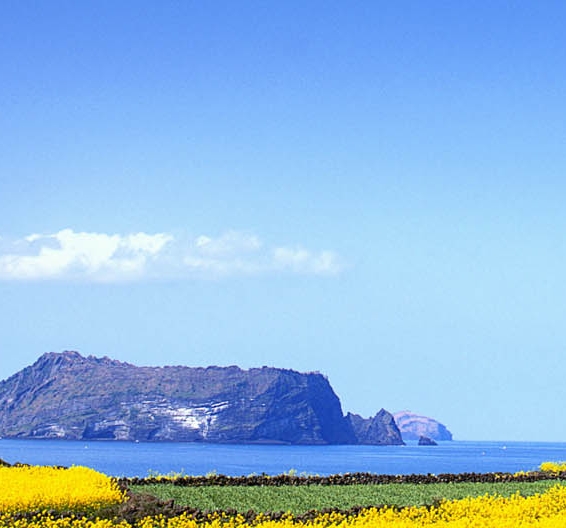 图文号赚钱方法