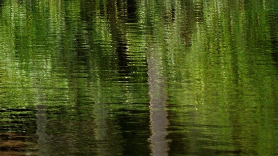 心得报告怎么赚钱文案句子