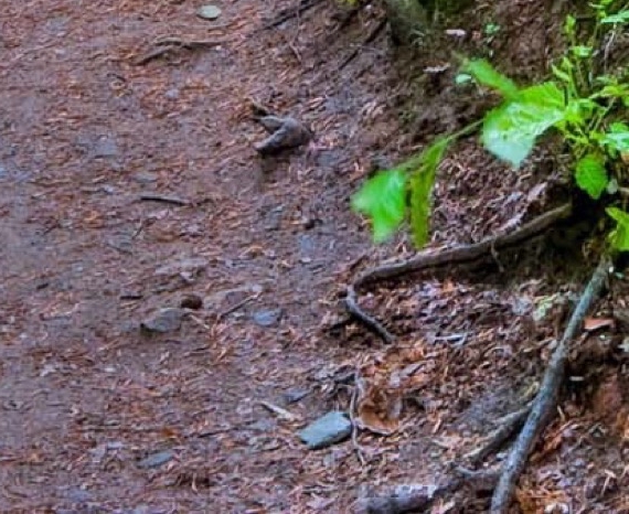 赚钱方法赚钱小技巧
