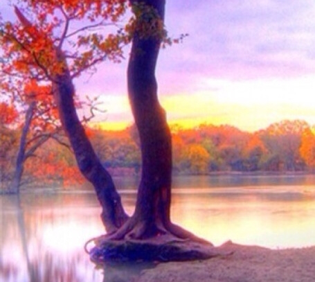 卖盒饭流动快餐赚钱吗