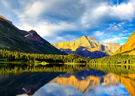 养猪赚钱心得体会作文