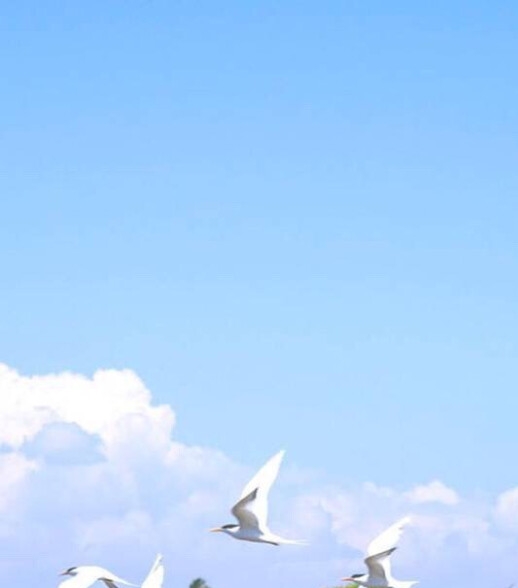 梦幻开帮派赚钱吗