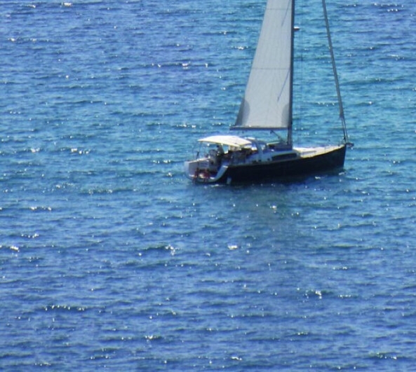 非法繁殖赚钱的案例