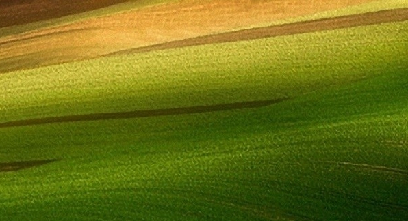 适合学生团队赚钱项目