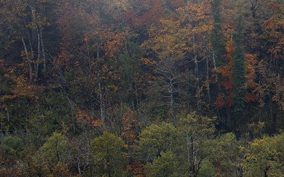 既能学英语又能赚钱的软件