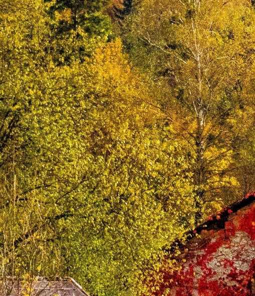 编辑短视频赚钱方法