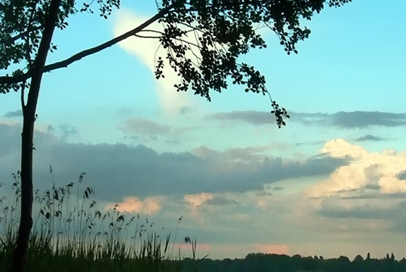 改装什么项目赚钱